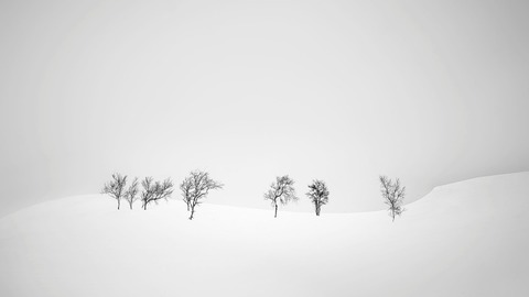 2026 Seminare �horizonte zingst� - Minimalistische Schwarz-Wei�-Fotografie bei -42 Grad in Kanada's Winter - Zingst - 04.06.2026 16:00