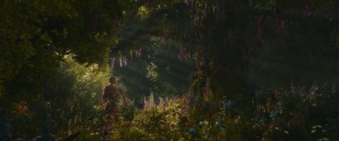 Der Wunderweltenbaum - Lahr - 26.04.2026 15:30