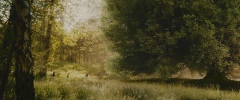 Der Wunderweltenbaum - Emmendingen - 26.04.2026 15:00