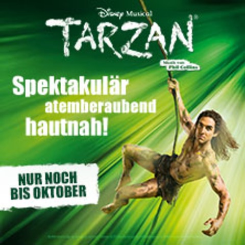 Disneys Musical TARZAN - HAMBURG - 06.06.2026 14:30