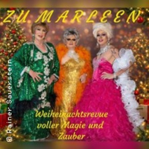 Weihnachtsrevue voller Magie und Zauber - HALLE (SAALE) - 05.12.2026 18:00