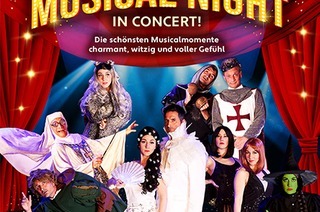 Musical Night in Concert