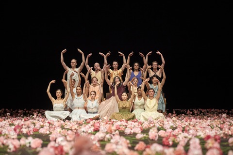 Nelken - Ein St�ck von Pina Bausch - Wuppertal - 19.06.2026 19:30