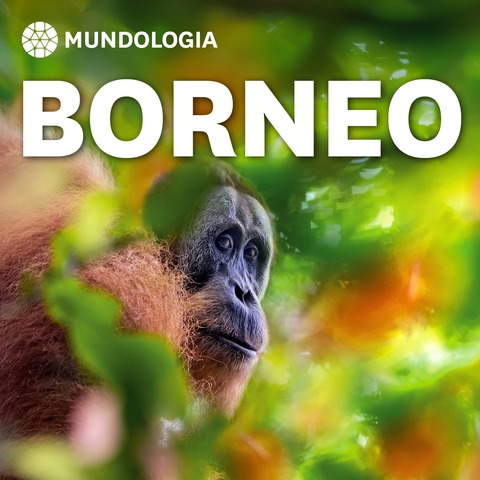 MUNDOLOGIA: Borneo - Freiburg - 02.12.2026 19:30