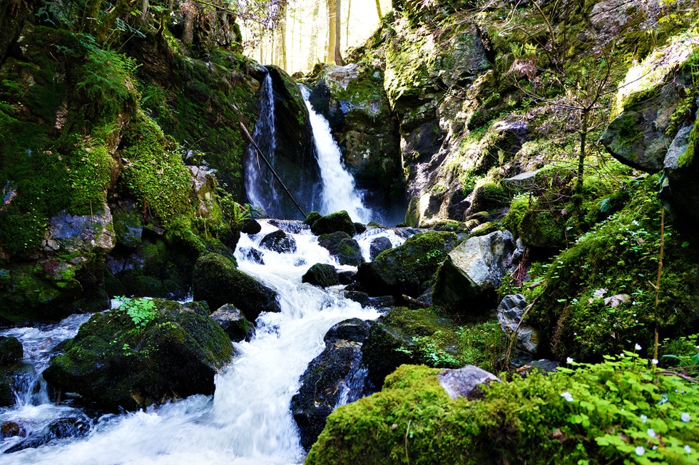 Wanderung zur Burg Wieladingen - Rickenbach