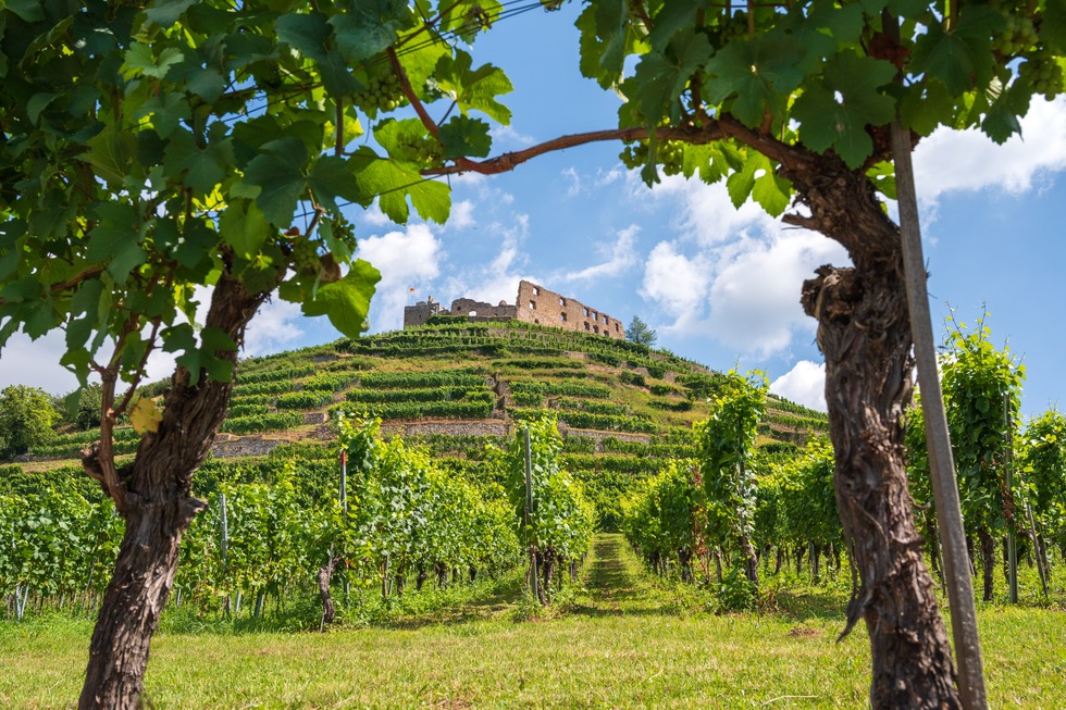Staufener H�llbergrunde - Staufen