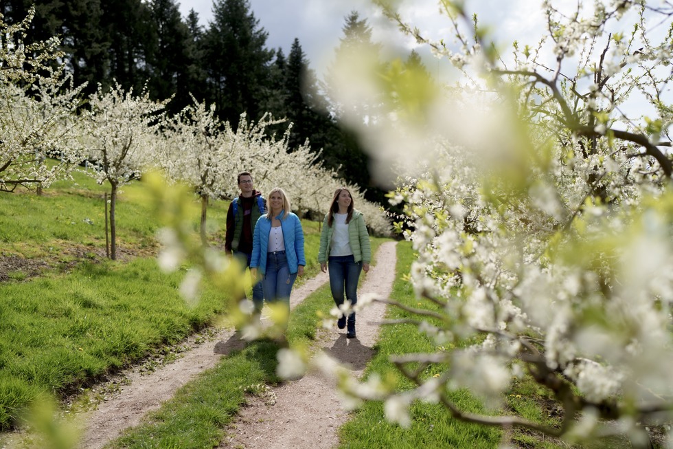 Oberkircher Brennersteig -