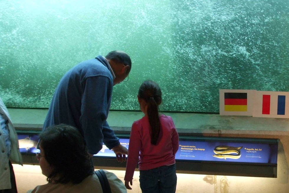 Fischtreppe Rheinau-Gambsheim - Gambsheim