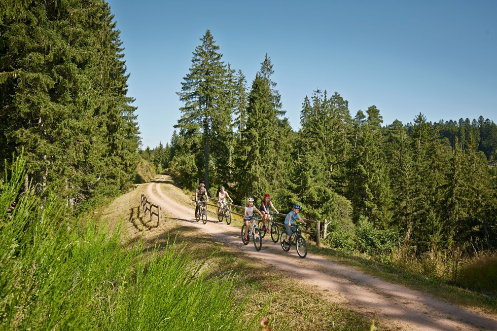 B�hnle-Radweg - Titisee-Neustadt