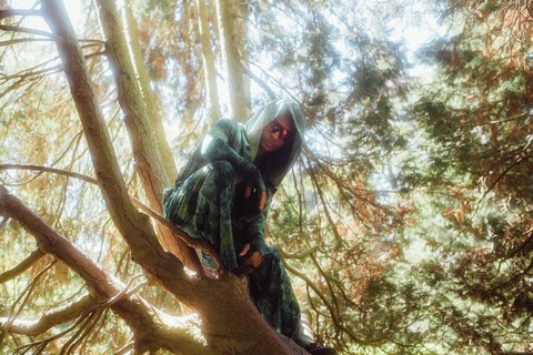 Team Robin Hood - Die Gerechtigkeit steht im Wald - 13+ / Derni�re - Marburg - 27.06.2026 20:00
