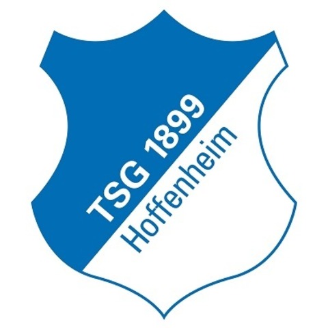 TSG Hoffenheim - 1. FC Saarbr�cken - Sinsheim - 10.05.2026 19:30
