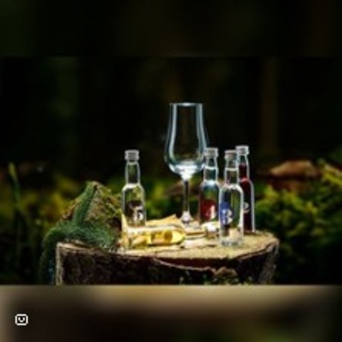 Gin Tasting - Freiburg - 13.11.2026 20:00