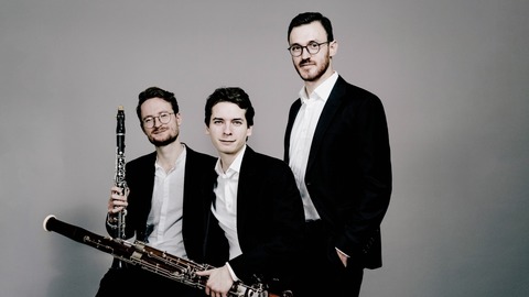 Summerwinds Festival: Trio Neo: Von Feen und Festen - Nottuln - 27.06.2026 19:30