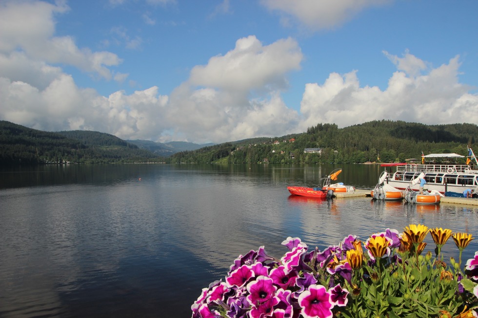Seenradweg Hochschwarzwald -