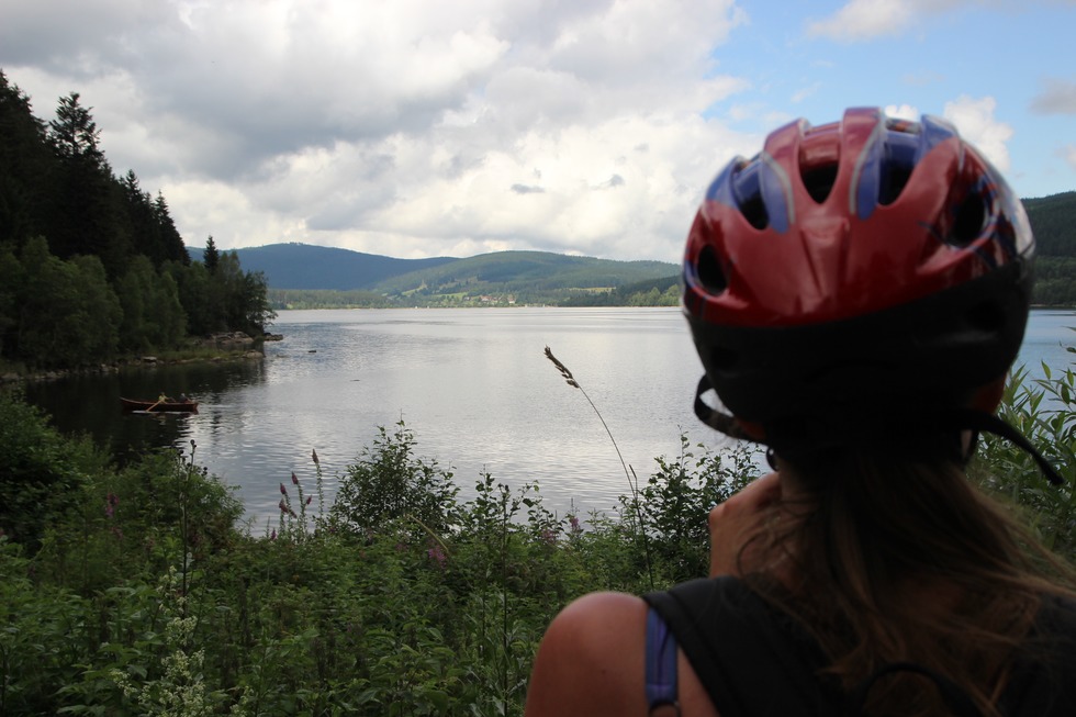 Seenradweg Hochschwarzwald -