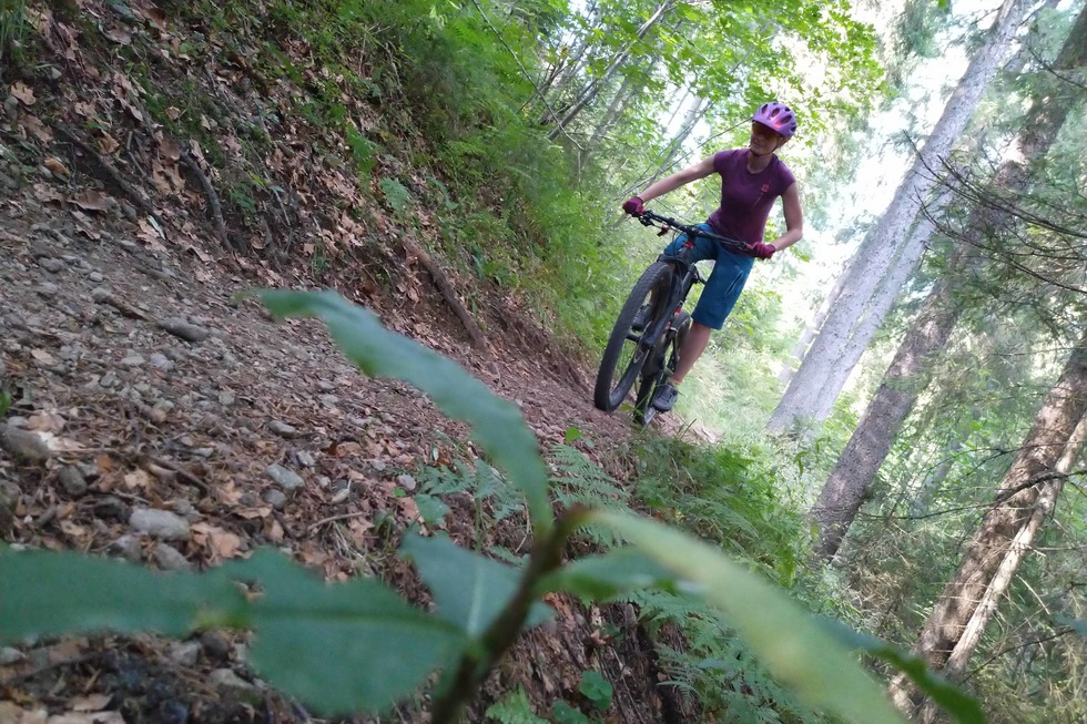 Gipfeltrail Hochschwarzwald - Titisee-Neustadt