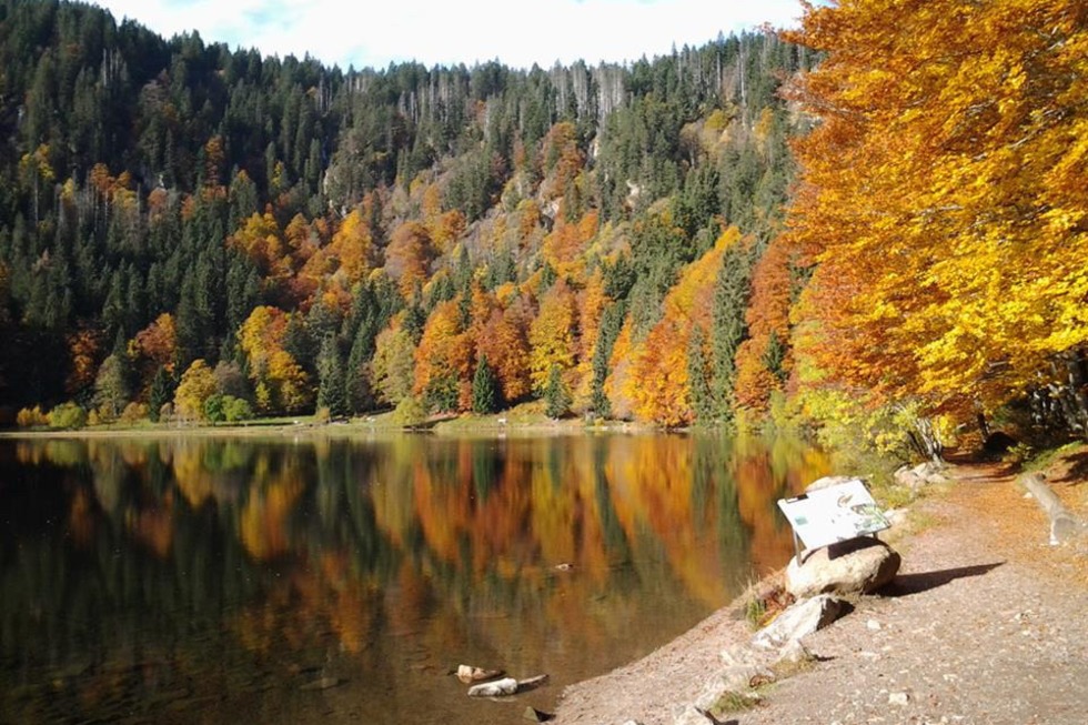 Gipfeltrail Hochschwarzwald - Titisee-Neustadt