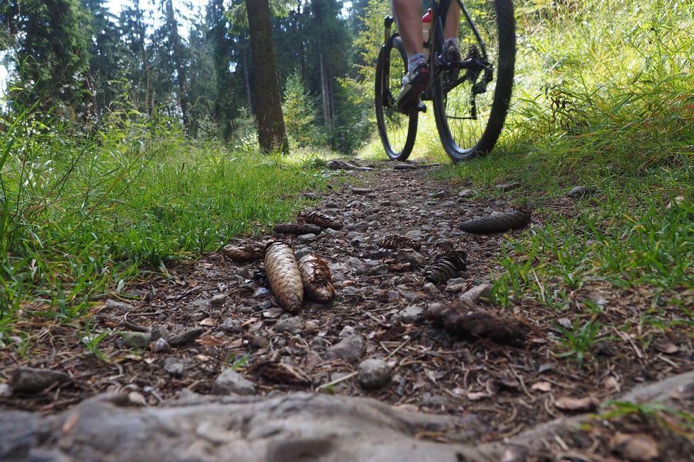 Gipfeltrail Hochschwarzwald - Titisee-Neustadt