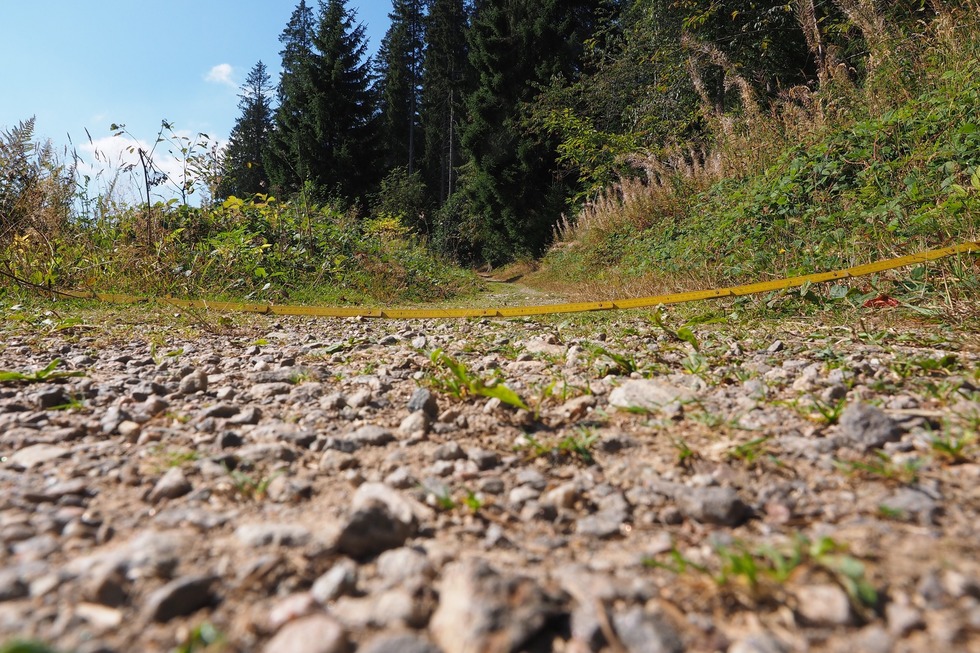 Gipfeltrail Hochschwarzwald - Titisee-Neustadt