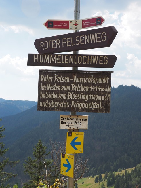 Gipfeltrail Hochschwarzwald - Titisee-Neustadt