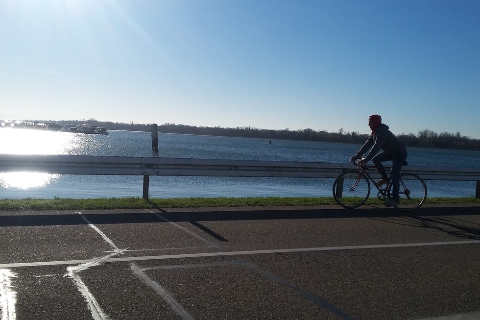 Rhein-Schuttertal-Radweg - Schwanau