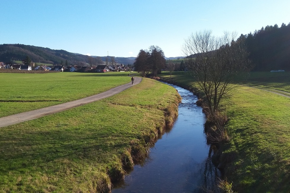 Rhein-Schuttertal-Radweg - Schwanau