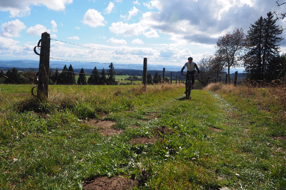 Mountainbiketour auf den Spuren von Sabine Spitz - Bad S�ckingen