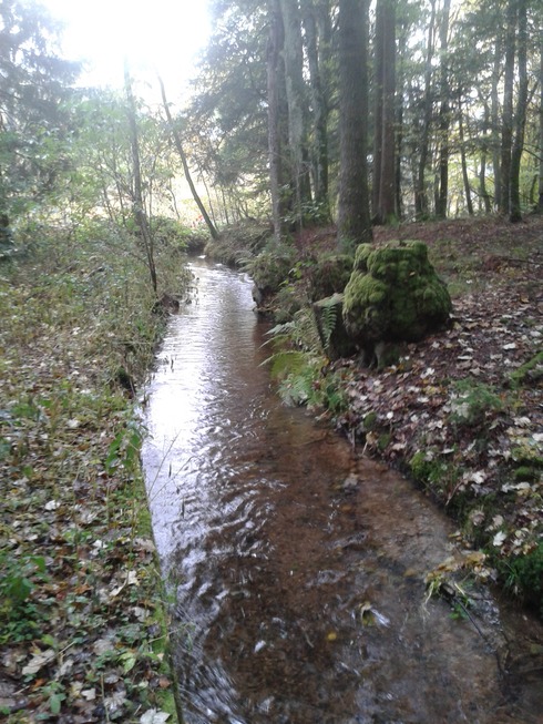 Mountainbiketour auf den Spuren von Sabine Spitz - Bad S�ckingen