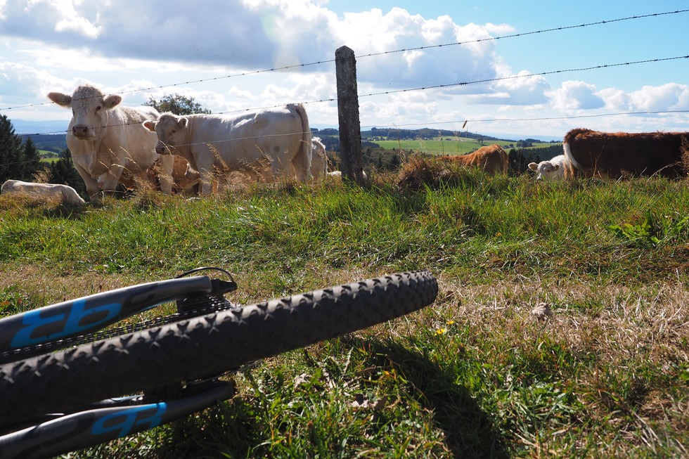 Mountainbiketour auf den Spuren von Sabine Spitz - Bad S�ckingen