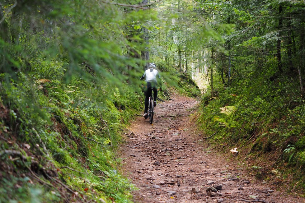 Mountainbiketour auf den Spuren von Sabine Spitz - Bad S�ckingen