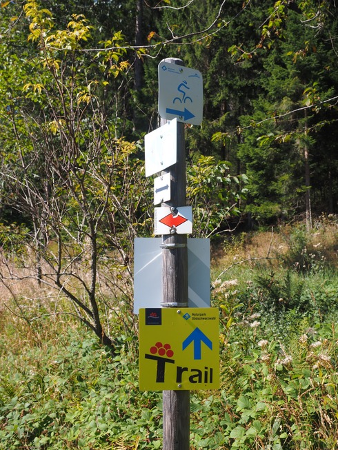Mountainbiketour auf den Spuren von Sabine Spitz - Bad S�ckingen