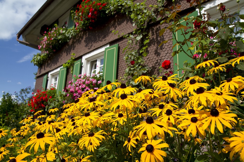 Elztal-Radweg - Elzach