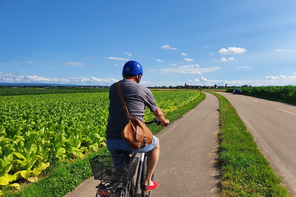 M�hlenradweg - Neuried