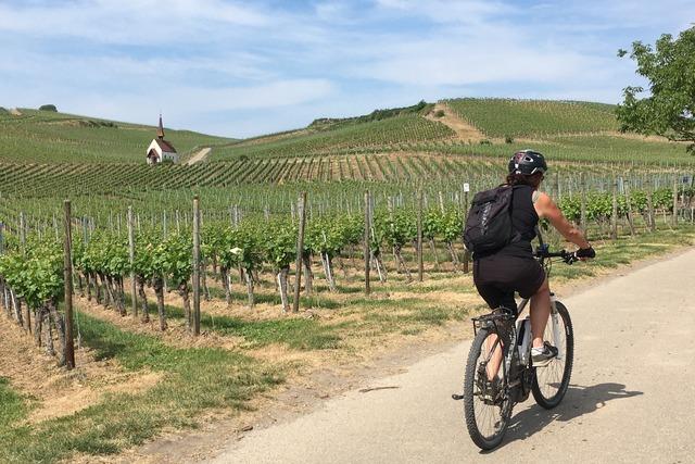 Badischer Weinradweg, 2. Etappe