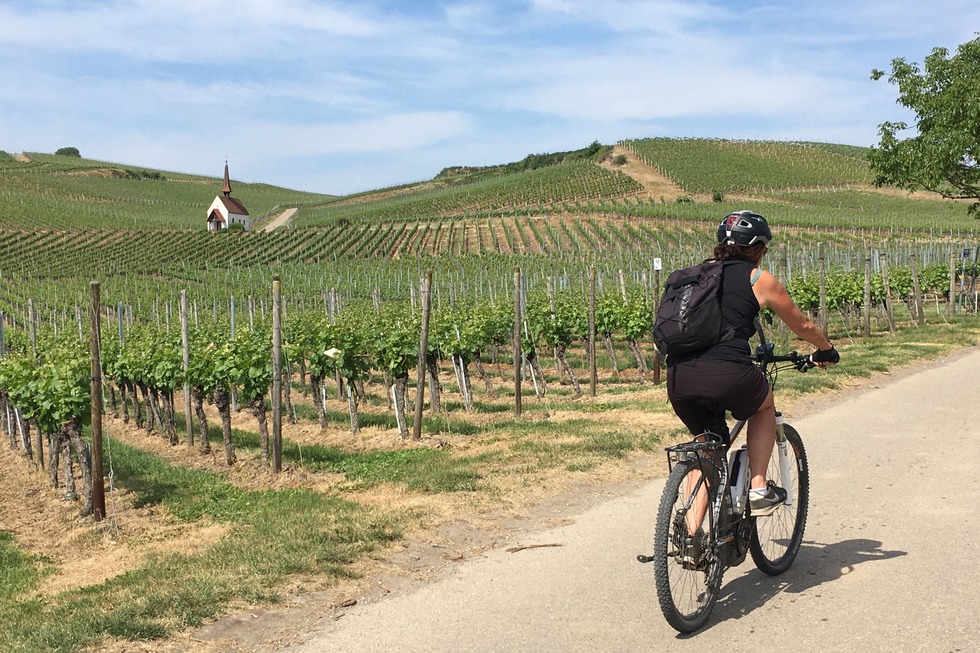 Badischer Weinradweg, 2. Etappe - Schallstadt