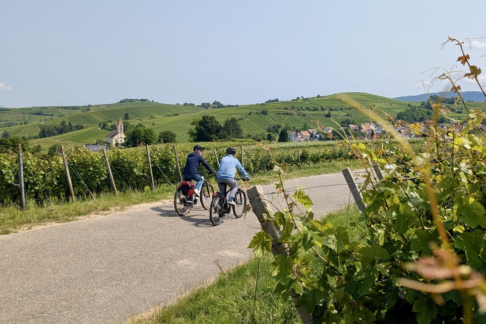 Badischer Weinradweg, 1. Etappe - Grenzach-Wyhlen