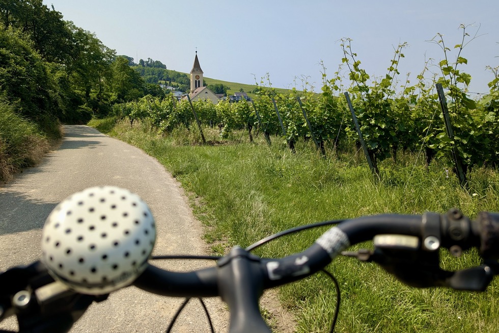 Badischer Weinradweg, 1. Etappe - Grenzach-Wyhlen