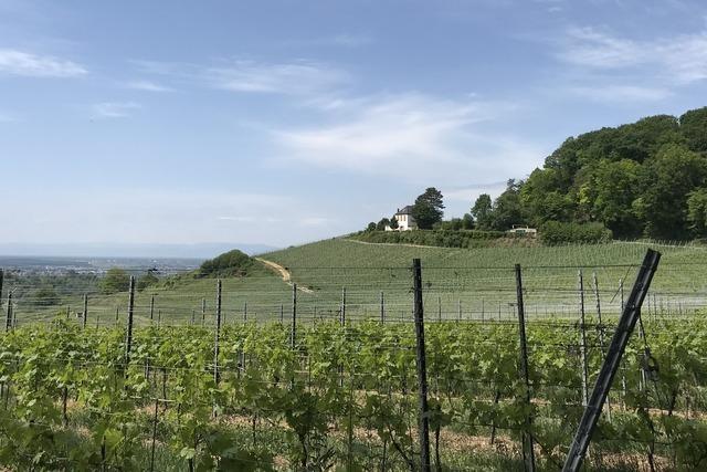 Badischer Weinradweg, 3. Etappe