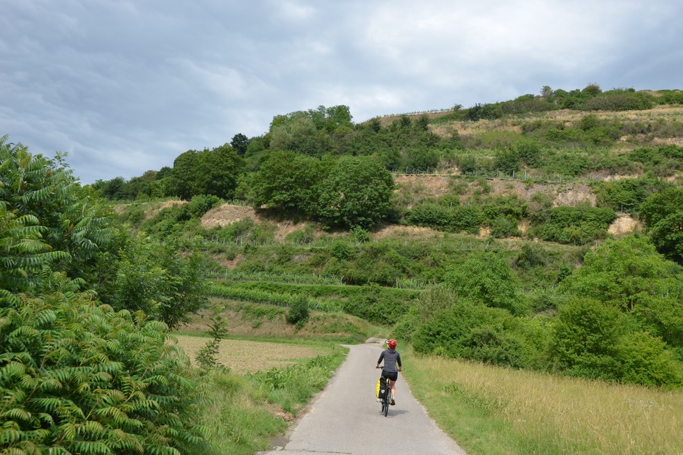 Kaiserstuhl-Radweg - Gottenheim