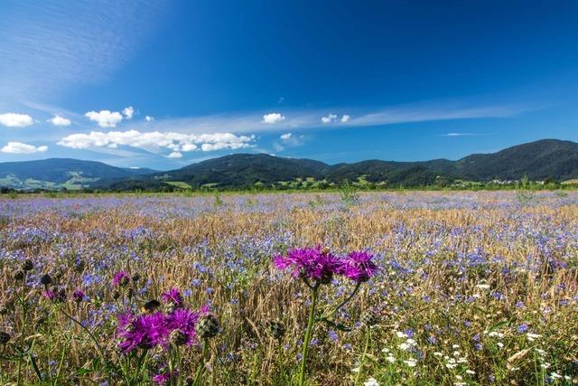 Dreisamtal-Genusstour