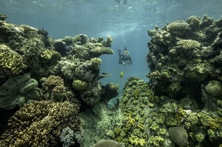 Die Live-Reportage „Grad�jetzt - Gegen die Angst“ mit Louisa Schneider gibt es im Freiburger Kino Friedrichsbau