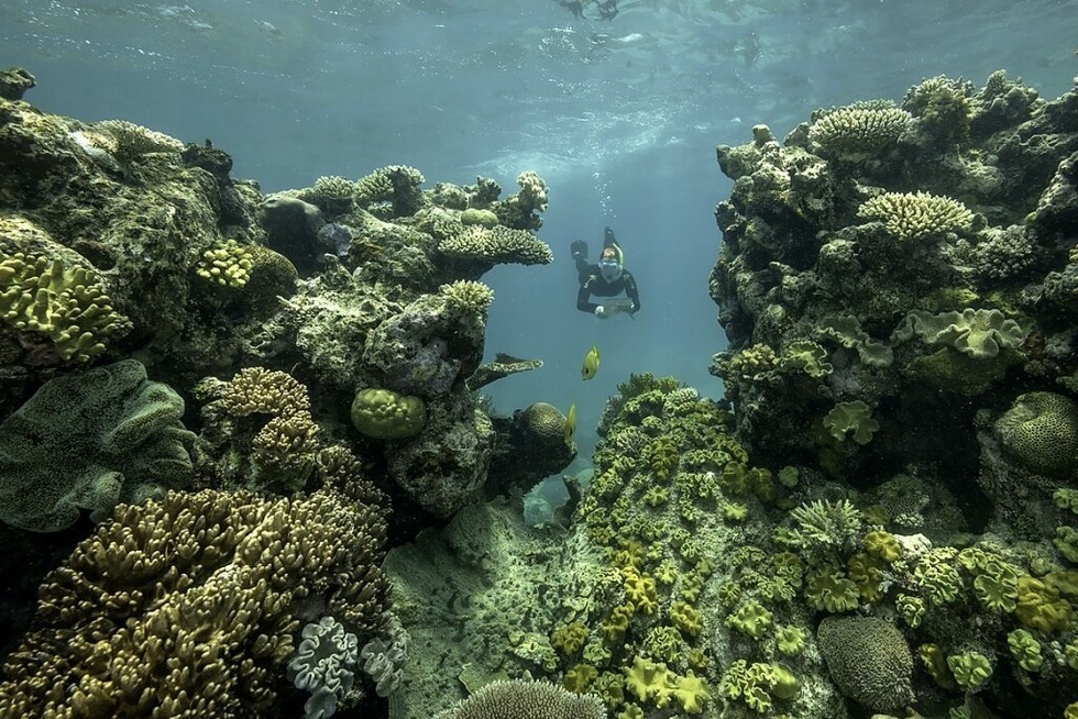 Die Live-Reportage „Grad�jetzt - Gegen die Angst“ mit Louisa Schneider gibt es im Freiburger Kino Friedrichsbau - Badische Zeitung TICKET