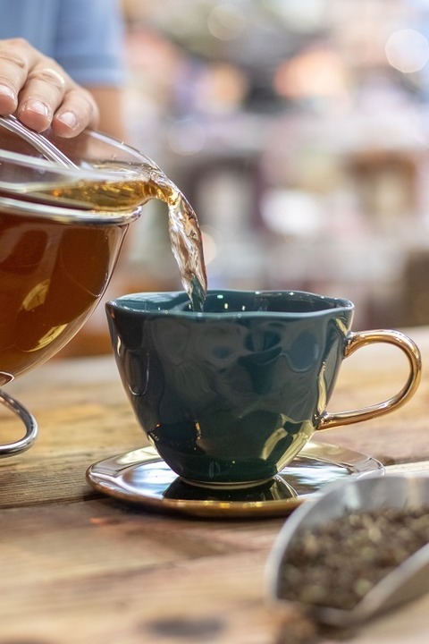 Teeseminar - Oldenburg (Oldenburg) - 09.10.2026 15:00