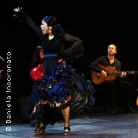 Pasi�n Flamenca - Dresden - 04.03.2027 18:45