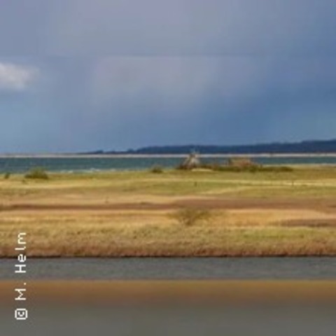 Treff mit dem Vogelwart - INSEL POEL - 26.07.2026 10:00