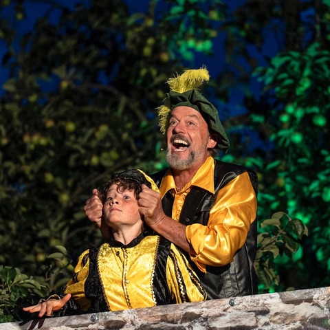Robin Hood | Helden in St�tzstr�mpfen - Open Air - Baienfurt - 06.08.2026 20:15