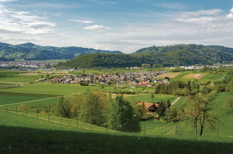 Maibaumstellen. - Zell am Harmersbach - 30.04.2026 17:45