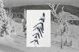 Kuratorenf�hrung
