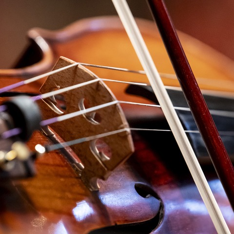 5. Kammerkonzert - MUSIK.LEBEN.�BERLEBEN - Wuppertal - 31.05.2027 19:30