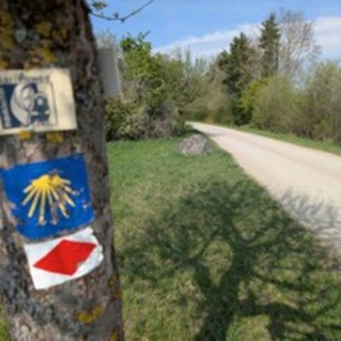 Coachingweg - KALCHREUTH - 18.05.2026 09:00